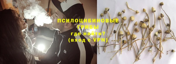 стафф Новодвинск