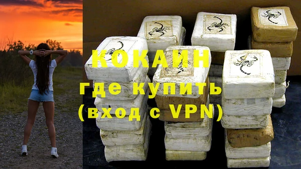 шишки Абинск