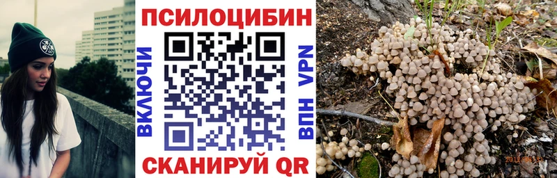 Галлюциногенные грибы Psilocybine cubensis  продажа наркотиков  блэк спрут рабочий сайт  Нерчинск 